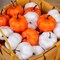 Artificial Pumpkins Bulk Orange and White Mini Foam Pumpkins for Fall Thanksgiving Table Decor